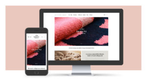 Dedani Website