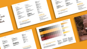 Kambaku Brand Guidelines