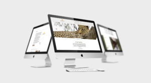 Kambaku Website Desktop