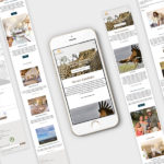 Kambaku Lodge Mobile Website