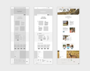 Kambaku Website Design